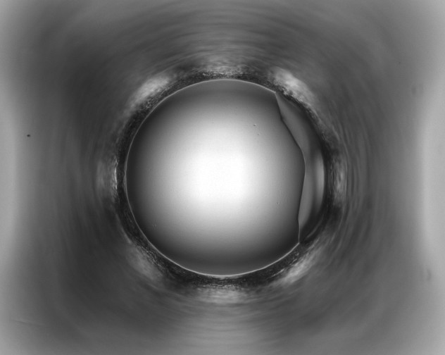 X0000087040685200704181216