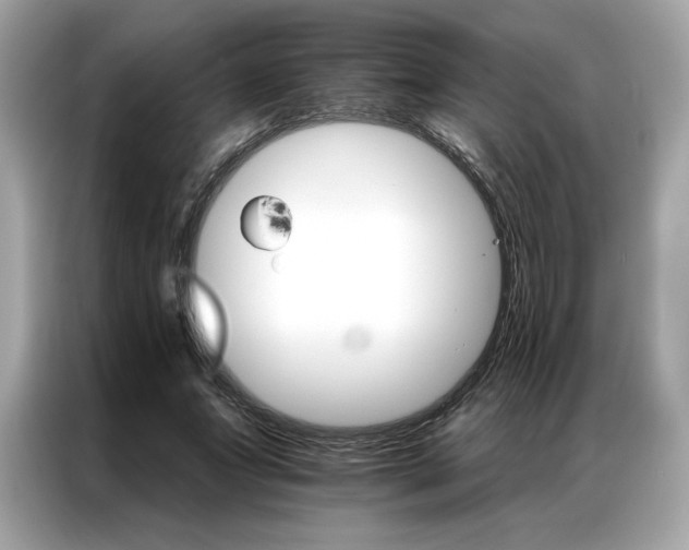 X0000087040687200704181216