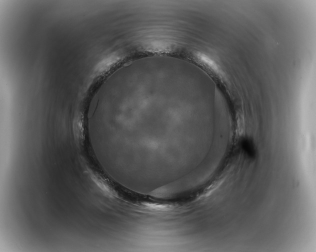 X0000087040688200704181216