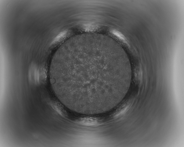 X0000087040691200704181216