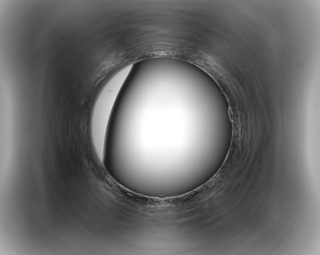 X0000087040696200704181216