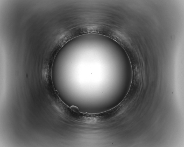 X0000087040698200704181216