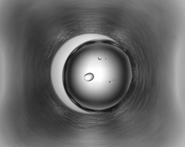 X0000087040699200704181216