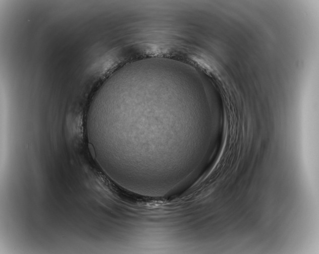 X0000087040700200704181216