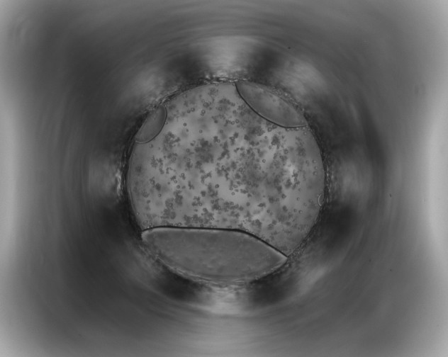 X0000087040703200704181216
