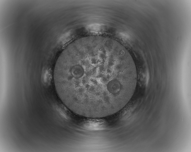 X0000087040707200704181215