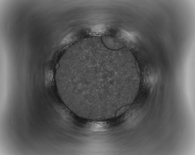 X0000087040711200704181215