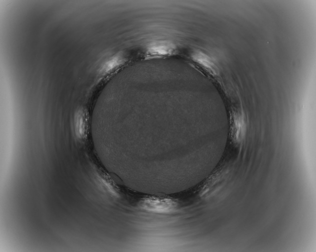 X0000087040712200704181215
