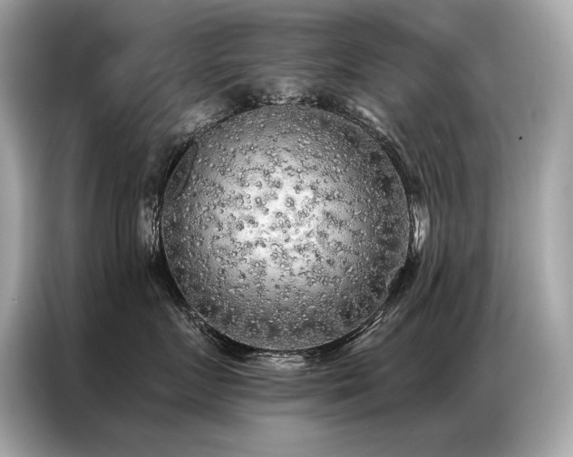 X0000087040719200704181215