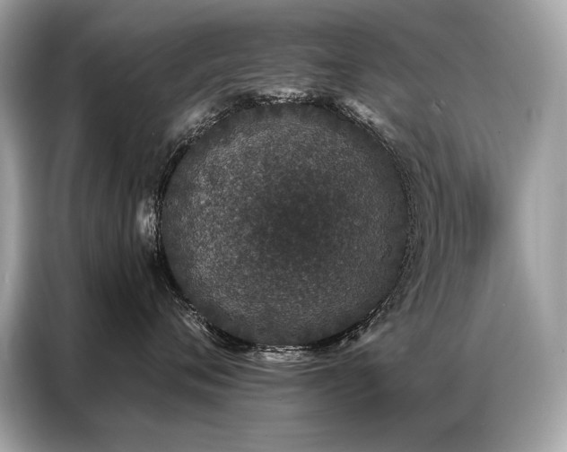 X0000087040720200704181215