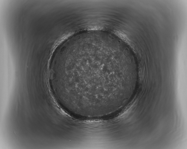 X0000087040721200704181215