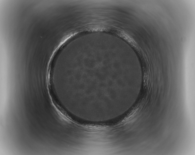X0000087040722200704181215