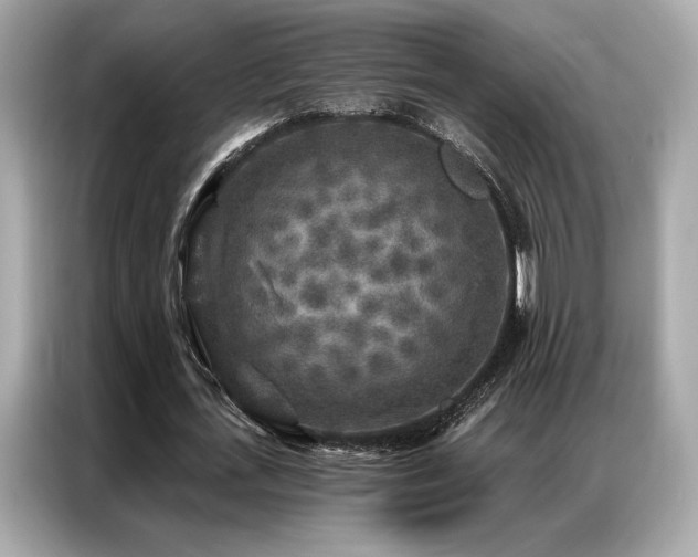 X0000087040723200704181215