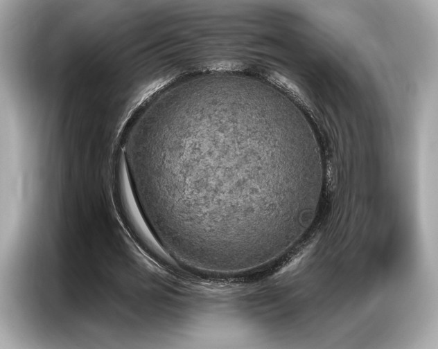 X0000087040725200704181215