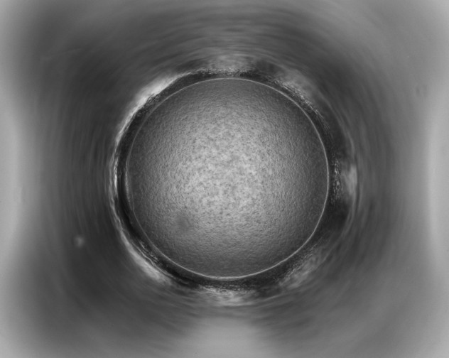 X0000087040726200704181215