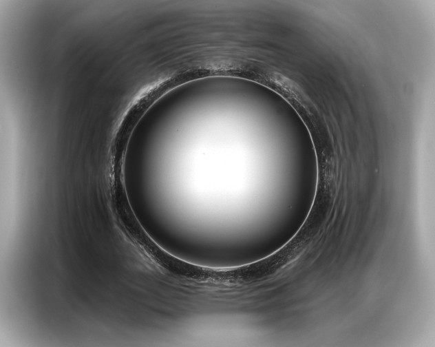 X0000087040727200704181215
