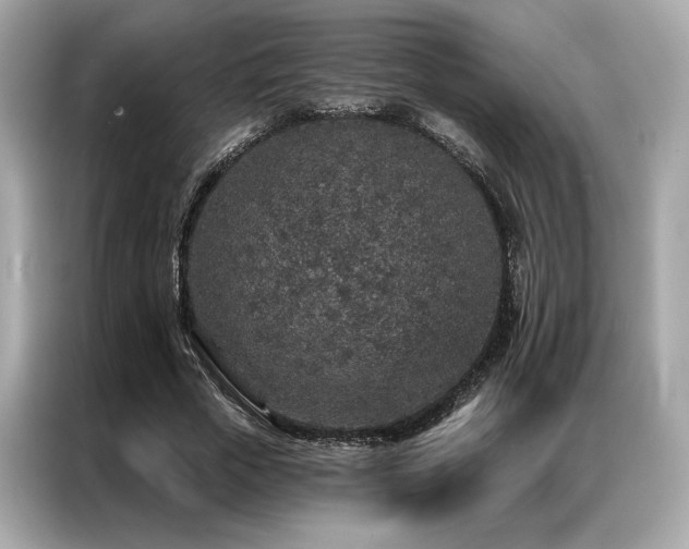 X0000087040729200704181215
