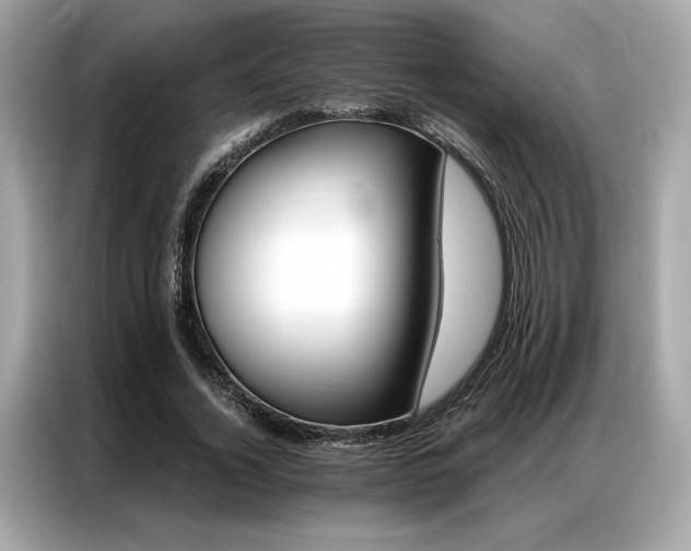 X0000087040732200704181215
