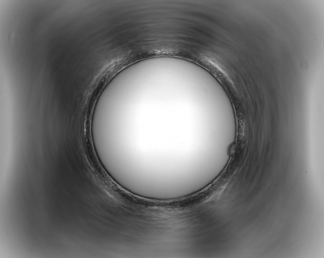 X0000087040733200704181215