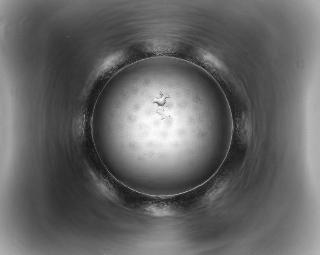 X0000087040735200704181215
