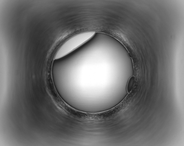 X0000087040736200704181215