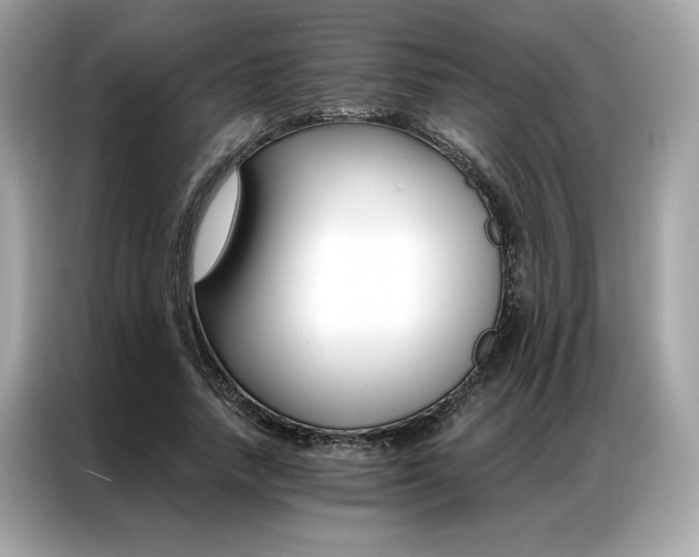 X0000087040738200704181215