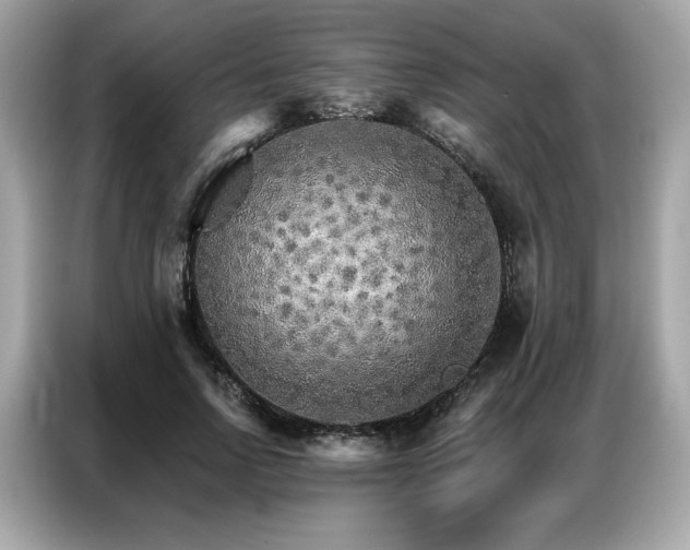 X0000087040742200704181215