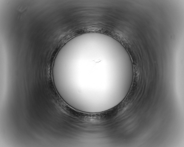 X0000087040745200704181215