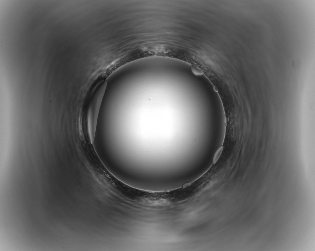 X0000087040747200704181215
