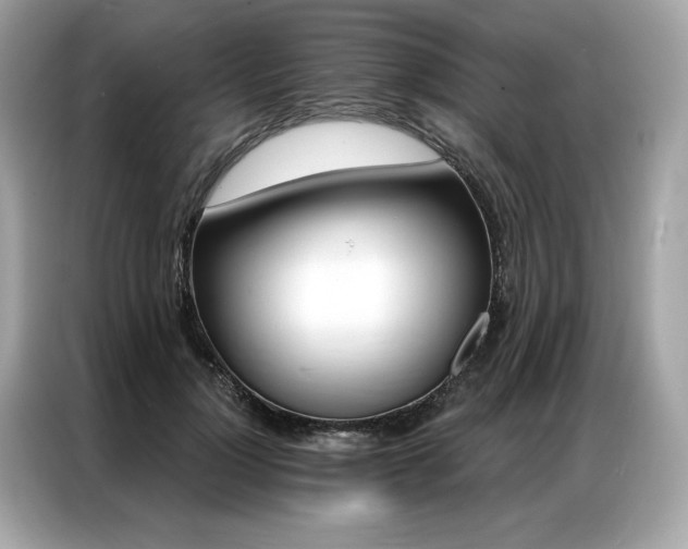 X0000087040748200704181215