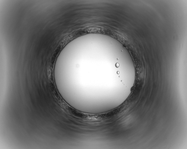 X0000087040753200704181215