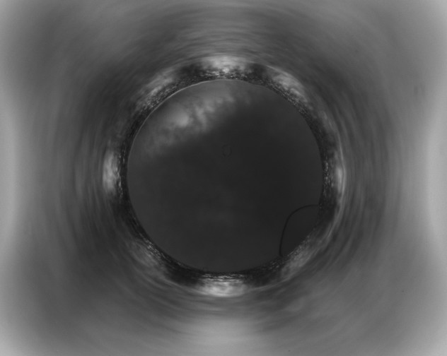 X0000087040754200704181215