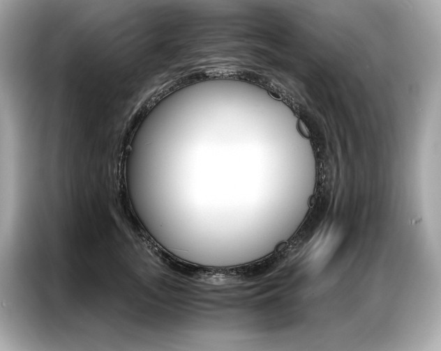 X0000087040755200704181215
