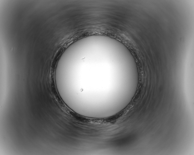 X0000087040757200704181215