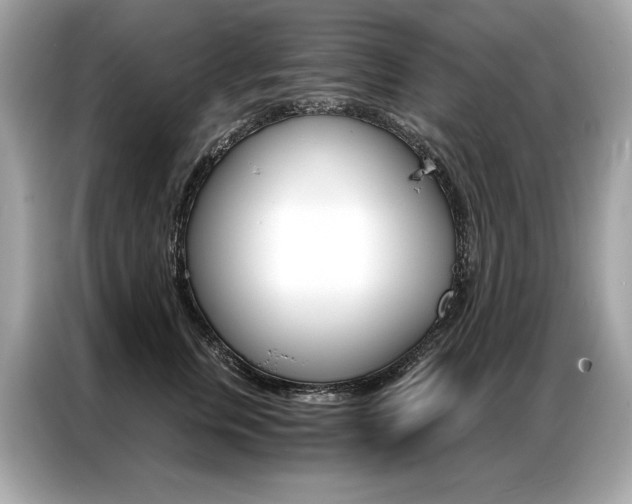 X0000087040759200704181215
