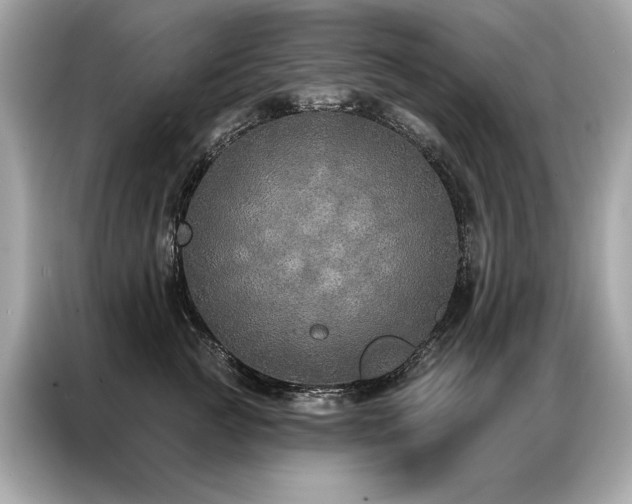 X0000087040761200704181215