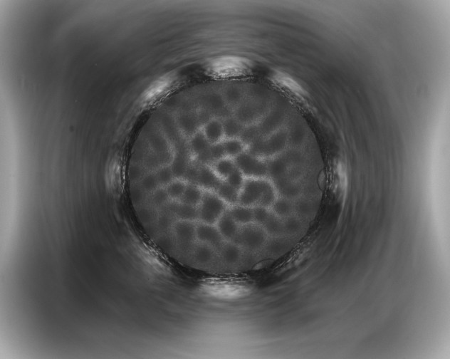 X0000087040763200704181215