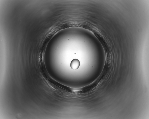 X0000087040764200704181215