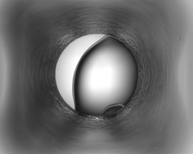 X0000087040768200704181215
