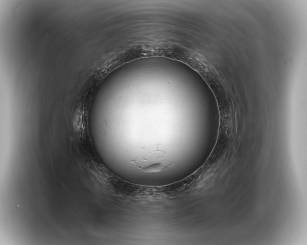 X0000087040770200704181215