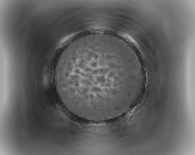 X0000087040775200704181215