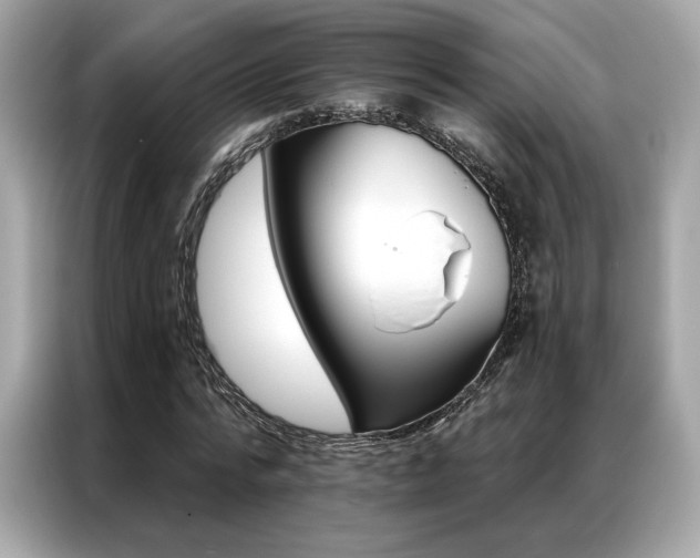 X0000087040776200704181215