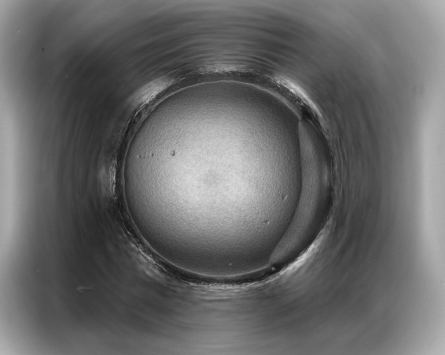 X0000087040777200704181214