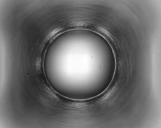 X0000087040778200704181214