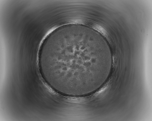 X0000087040780200704181214