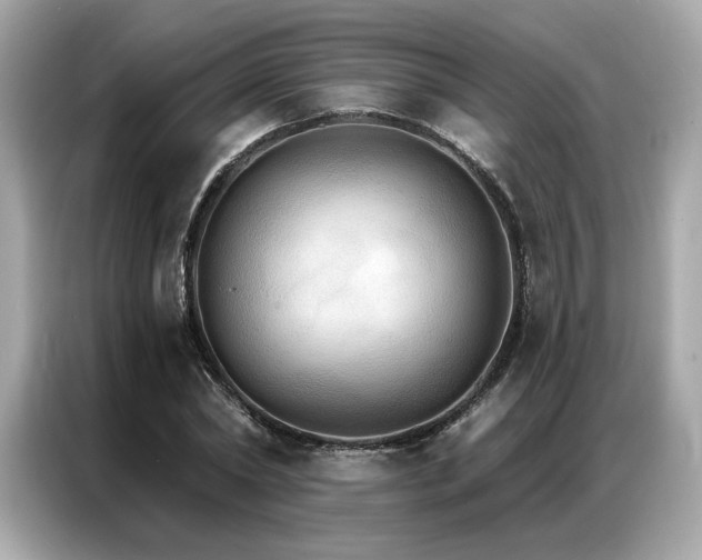 X0000087040782200704181214