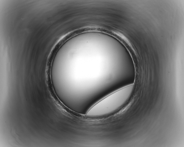 X0000087040783200704181214