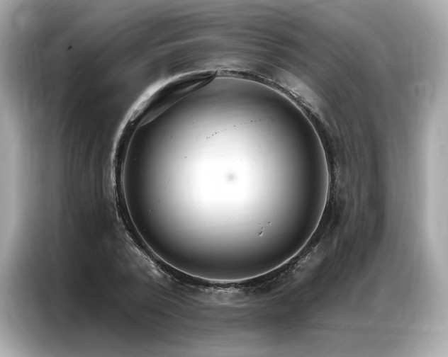 X0000087040784200704181214