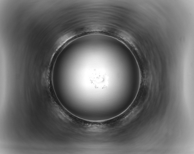 X0000087040786200704181214