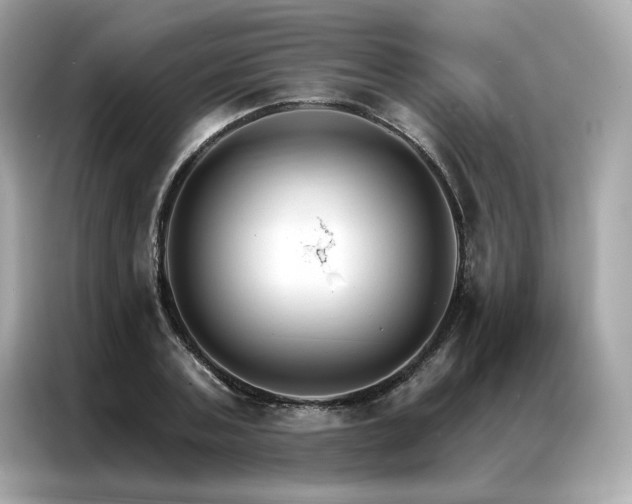 X0000087040787200704181214